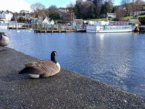 Holmlea Guest House Exclusively For Adults Windermere Extérieur photo